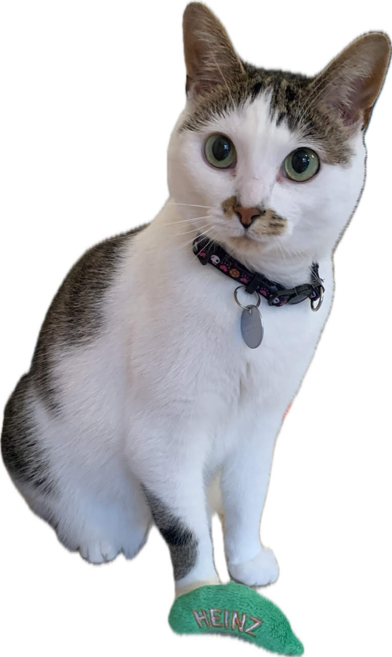 Heinz Pickle Catnip Toy