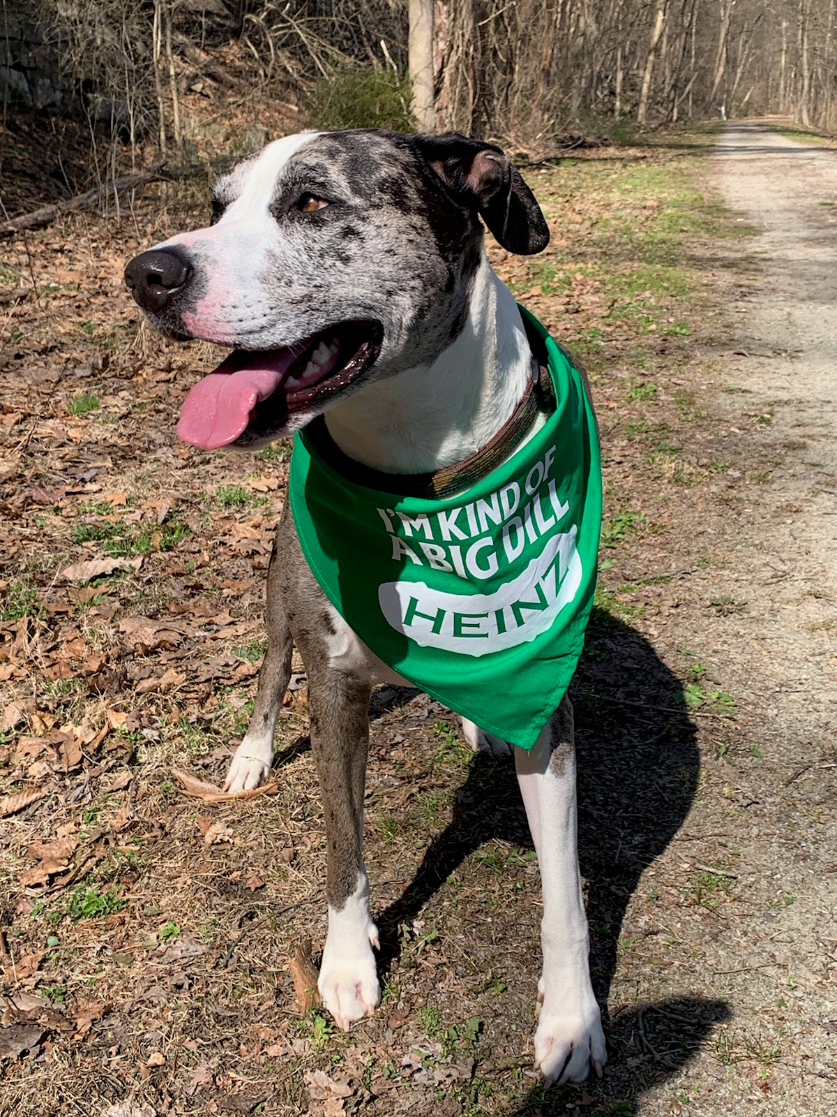 "I'm Kind of a Big Dill" Dog Bandana