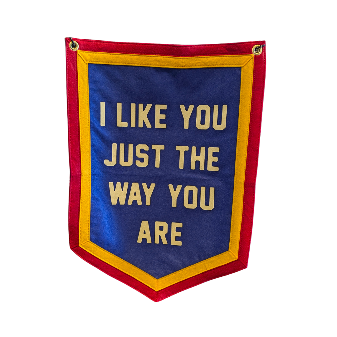 I Like You Just The Way You Are Camp Flag