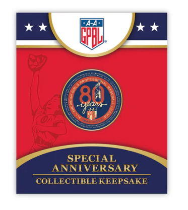 AAGPBL 80th Anniversary Commemorative Pin – Shop at the Heinz History ...